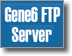 Gene6 ftp server